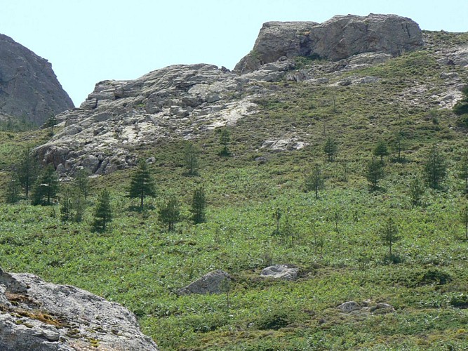 Corse- Région Cortenais/Popolasca- Arche de Castiglione [juin 2007]