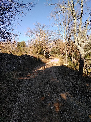 Une piste bien facile à suivre