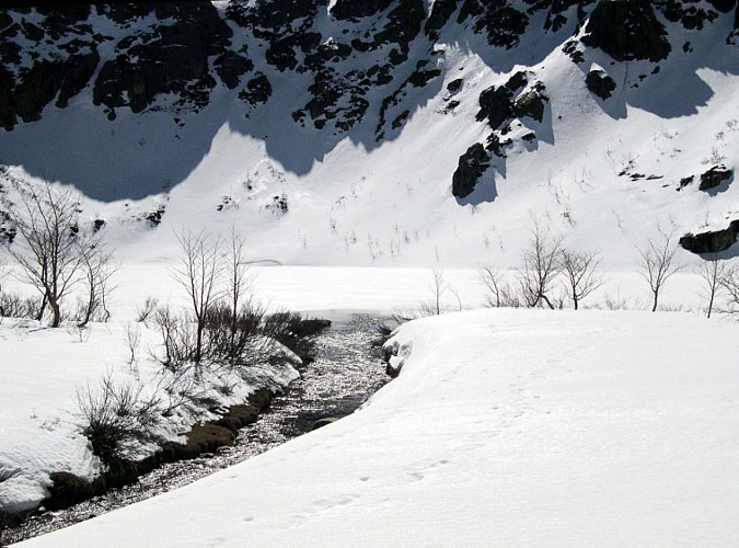 Corse- Région Cortenais/Massif Lombarduccio- Sortie Neige Melo-Bocca Soglia-Melo-Capitello [avril 2005]