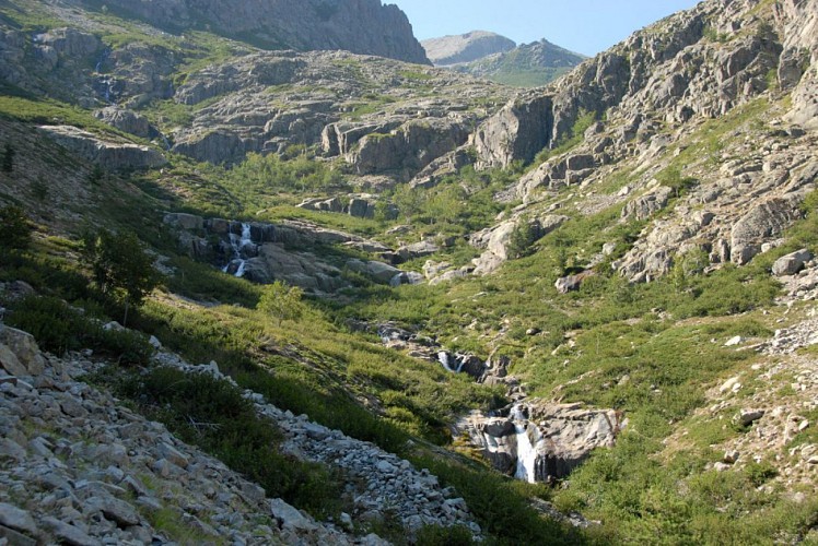 Corse- Région Cortenais/Massif Rotondo- Lac Pozzolo via berg. de Spiscie [juillet 2009]