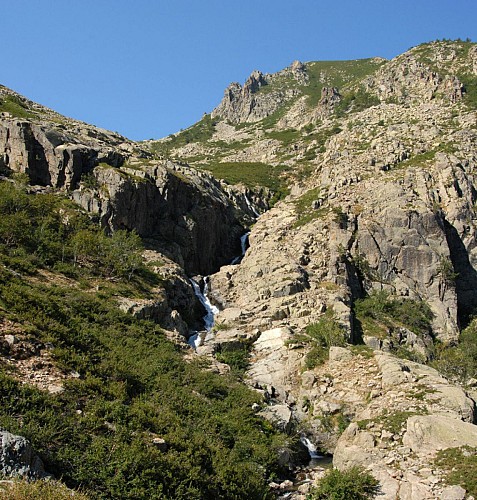 Corse- Région Cortenais/Massif Rotondo- Lac Pozzolo via berg. de Spiscie [juillet 2009]