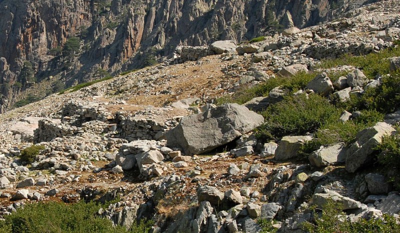 Corse- Région Cortenais/Massif Rotondo- Lac Pozzolo via berg. de Spiscie [juillet 2009]