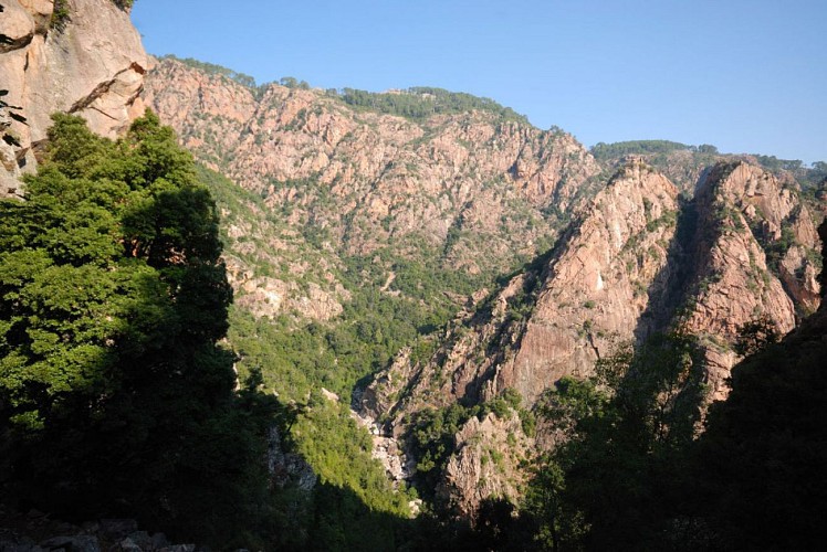 Corse- Région Evisa/Ota- Vallée de la Lonca- Berg. Infurcata [septembre 2012]