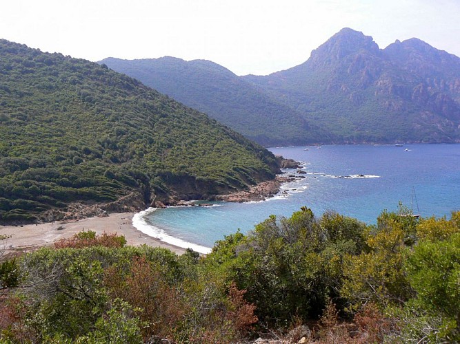 Corse- Région Evisa/Girolata- Girolata par bocca a Croce retour vedette [juillet 2006]