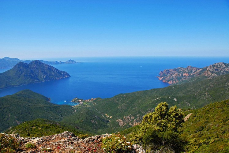 Corse- Région Evisa/Girolata- Boucle Bocca Palmarella- Capu Liccia- Girolata- Tra Mare e Monti [mai 2010]