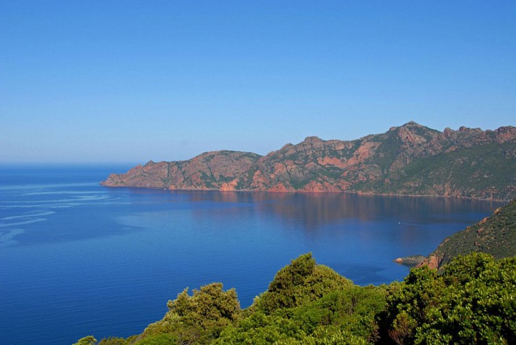 Corse- Région Evisa/Girolata- Boucle Bocca Palmarella- Capu Liccia- Girolata- Tra Mare e Monti [mai 2010]