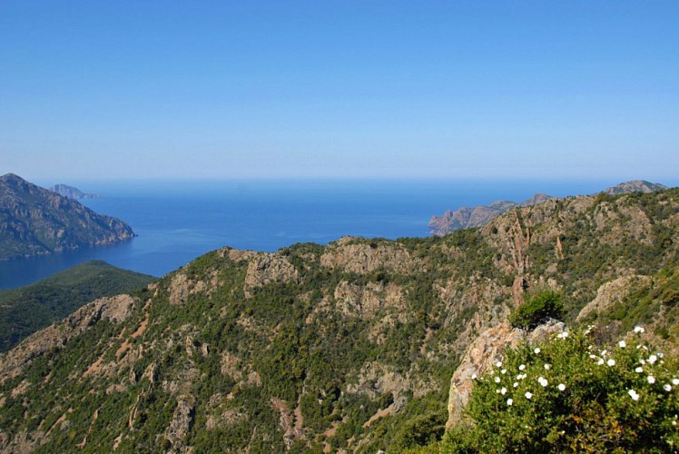 Corse- Région Evisa/Girolata- Boucle Bocca Palmarella- Capu Liccia- Girolata- Tra Mare e Monti [mai 2010]