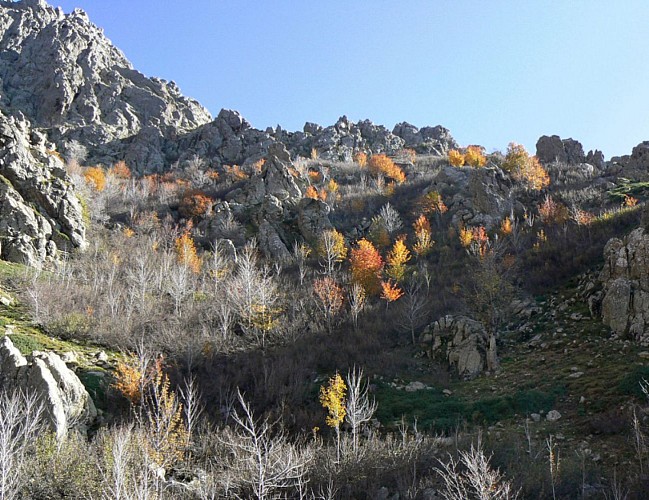 Corse- Région Evisa- Puscaghia par col de Guagnerola- Col Capronale- Arche perdue- Berg. ruinées [oct 2006]