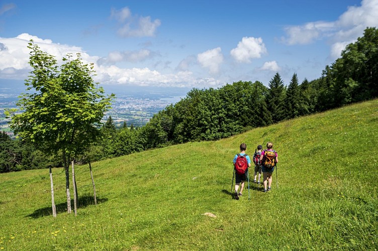 Hiking loop: Balcon paysager du Téléphérique