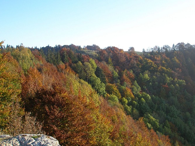 Hiking loop: Balcon paysager du Téléphérique