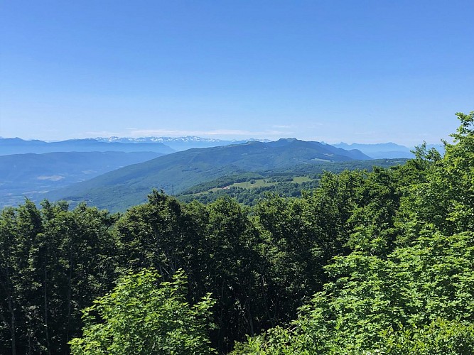 MTB trail 15 - Le grand tour du plateau de Retord - Espace FFC Ain Forestière