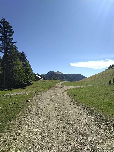 Vue sur le Grand Colombier depuis la Grange Fallavier