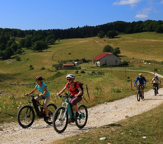 E-mountainbike loop - Le sud u Plateau de Retord - Espace FFC Ain Forestière