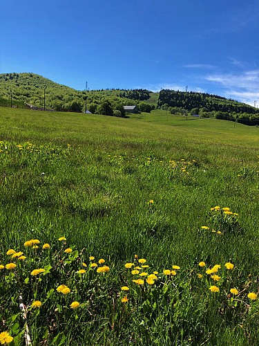 E-mountainbike loop - Le sud u Plateau de Retord - Espace FFC Ain Forestière