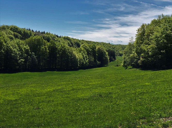 E-mountainbike loop - Le sud u Plateau de Retord - Espace FFC Ain Forestière