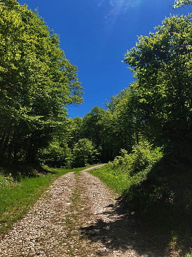 E-mountainbike loop - Le sud u Plateau de Retord - Espace FFC Ain Forestière