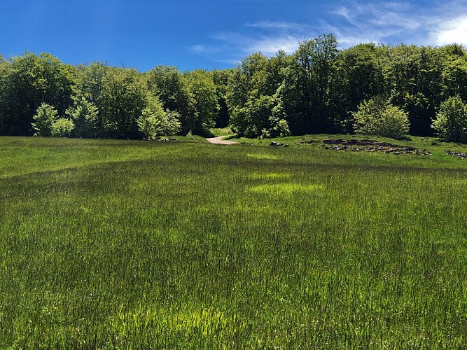 E-mountainbike loop - Le sud u Plateau de Retord - Espace FFC Ain Forestière