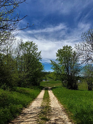 E-mountainbike loop - Le sud u Plateau de Retord - Espace FFC Ain Forestière