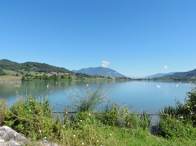 Circuit VTT : Marais d'Aignoz