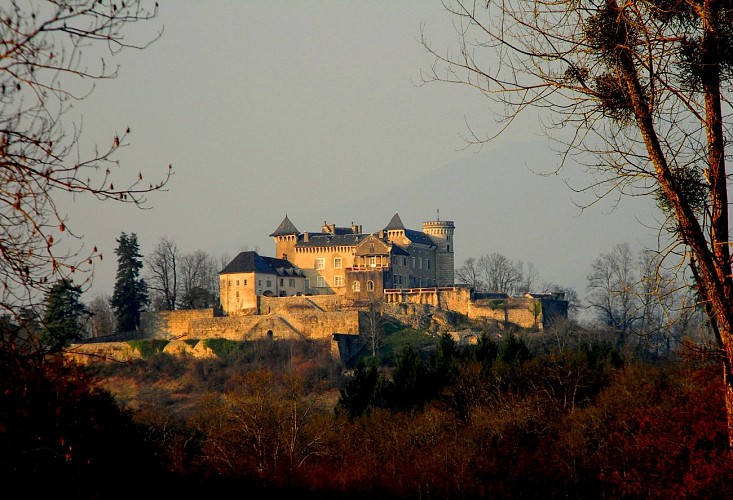 Circuit VTT : Marais d'Aignoz