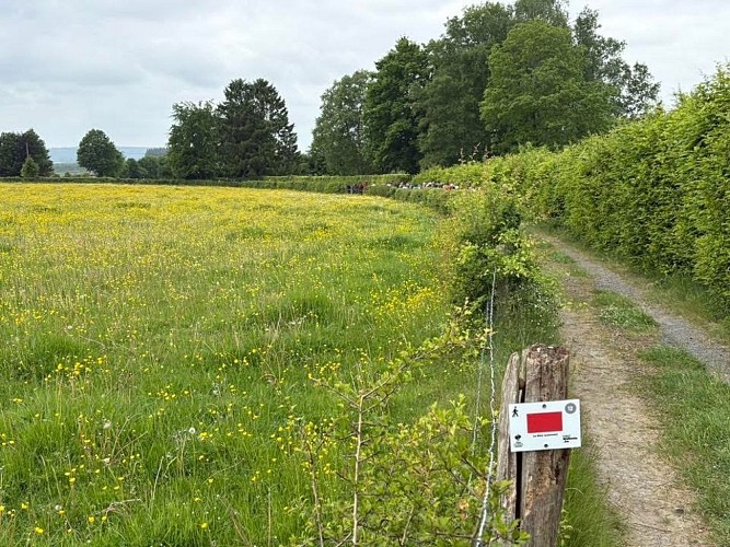 Mika Autrement 1 ©Olivier Lefèvre