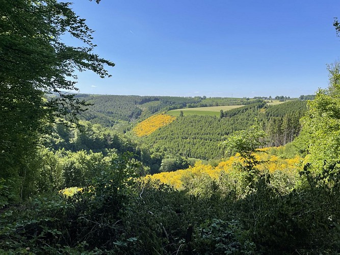 Mika Autrement 1 ©Erwan Adam