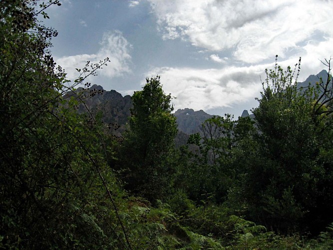 Corse- Région Filisorma/Fango- Vers le côté Ouest du Tafonatu [août 2006] 