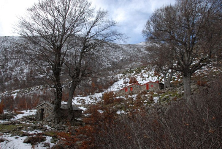 Corse- Région Fiumorbo-  Punta di Zorpi via Berg. et lac d'Alzeta- [novembre 2009]