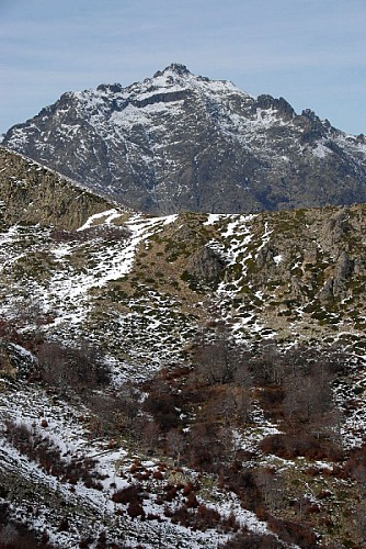 Corse- Région Fiumorbo-  Punta di Zorpi via Berg. et lac d'Alzeta- [novembre 2009]