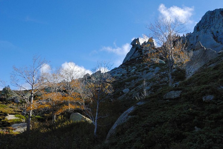 Corse- Région Fiumorbo/Massif Bocca Dell Oro- "Poule" Verde- Crête Montelatelli [octobre 2012]