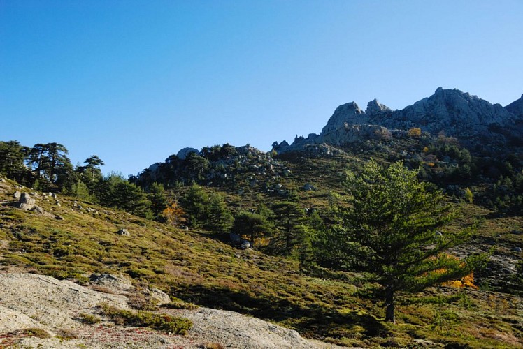 Corse- Région Fiumorbo/Massif Bocca Dell Oro- "Poule" Verde- Crête Montelatelli [octobre 2012]