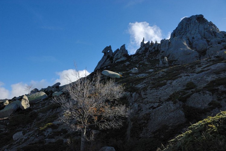 Corse- Région Fiumorbo/Massif Bocca Dell Oro- "Poule" Verde- Crête Montelatelli [octobre 2012]