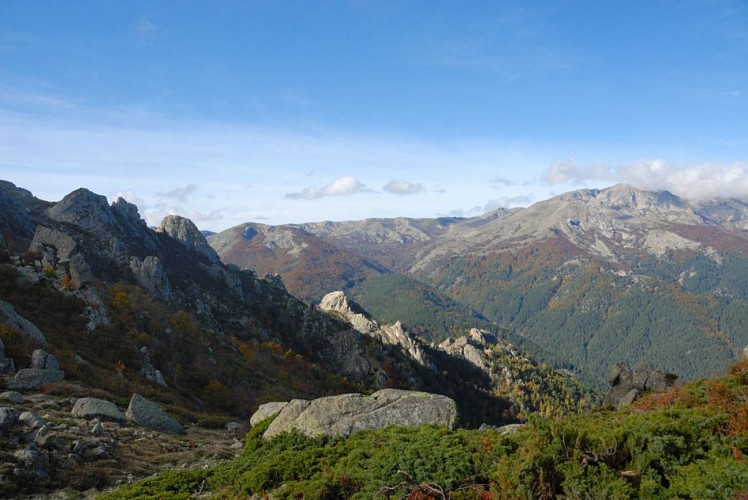 Corse- Région Fiumorbo/Massif Bocca Dell Oro- "Poule" Verde- Crête Montelatelli [octobre 2012]