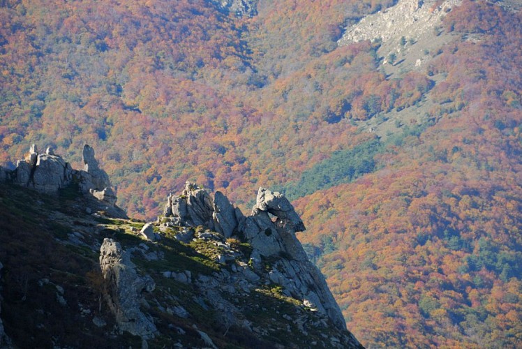 Corse- Région Fiumorbo/Massif Bocca Dell Oro- "Poule" Verde- Crête Montelatelli [octobre 2012]