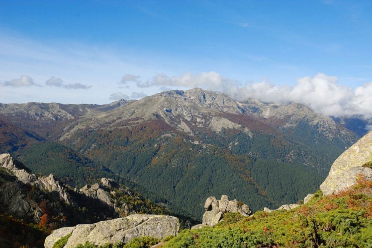Corse- Région Fiumorbo/Massif Bocca Dell Oro- "Poule" Verde- Crête Montelatelli [octobre 2012]