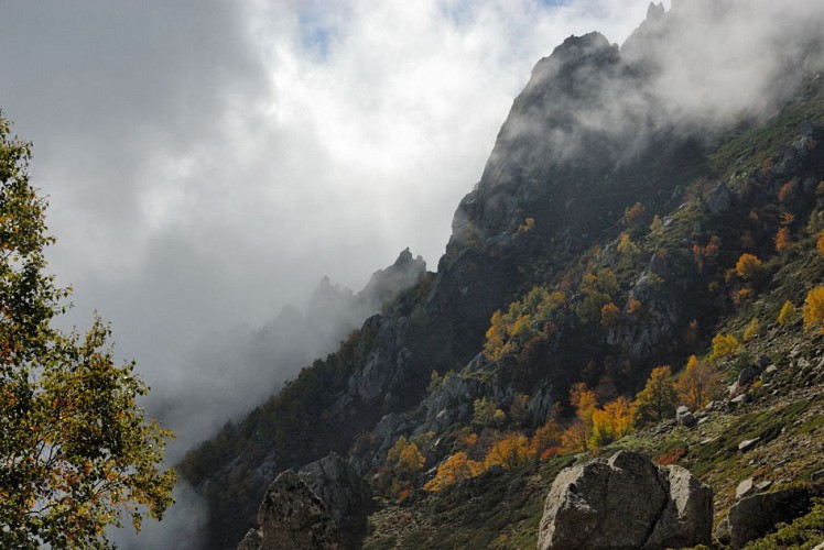 Corse- Région Fiumorbo/Massif Bocca Dell Oro- "Poule" Verde- Crête Montelatelli [octobre 2012]