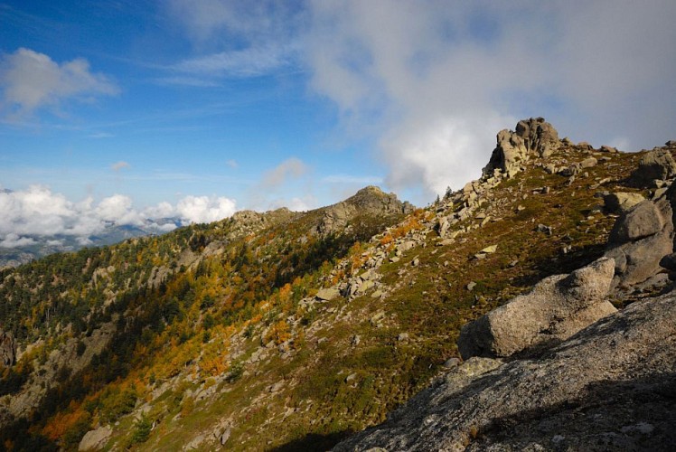 Corse- Région Fiumorbo/Massif Bocca Dell Oro- "Poule" Verde- Crête Montelatelli [octobre 2012]