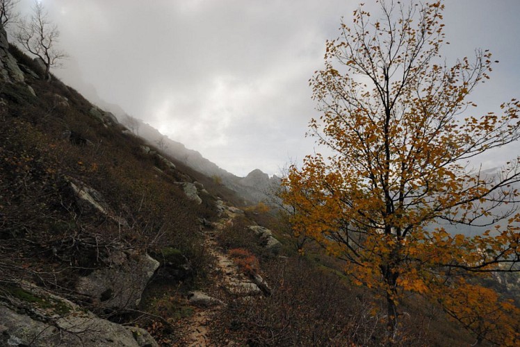 Corse- Région Fiumorbo/Massif Bocca Dell Oro- "Poule" Verde- Crête Montelatelli [octobre 2012]