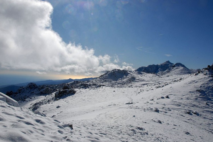 Corse- Région Fiumorbo/Massif Dell'Oro- Col d'Oru- Crête Dell'Oro- Poule Verde [Neige- Novembre 2009]