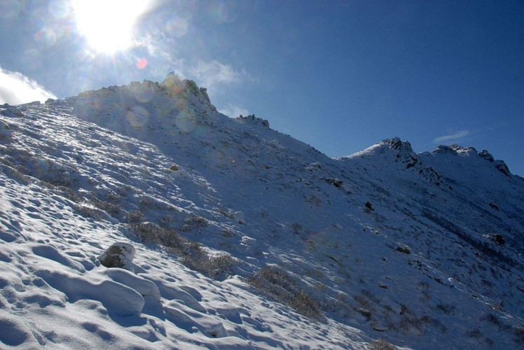 Corse- Région Fiumorbo/Massif Dell'Oro- Col d'Oru- Crête Dell'Oro- Poule Verde [Neige- Novembre 2009]