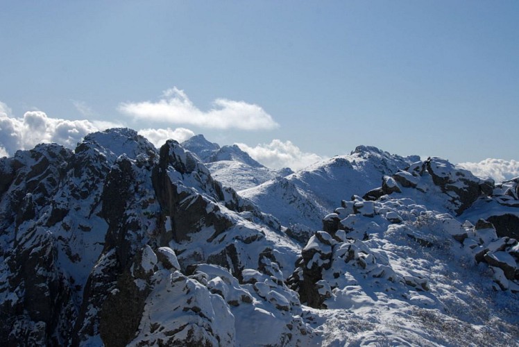 Corse- Région Fiumorbo/Massif Dell'Oro- Col d'Oru- Crête Dell'Oro- Poule Verde [Neige- Novembre 2009]