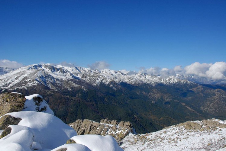 Corse- Région Fiumorbo/Massif Dell'Oro- Col d'Oru- Crête Dell'Oro- Poule Verde [Neige- Novembre 2009]