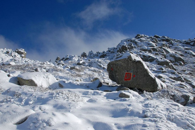 Corse- Région Fiumorbo/Massif Dell'Oro- Col d'Oru- Crête Dell'Oro- Poule Verde [Neige- Novembre 2009]