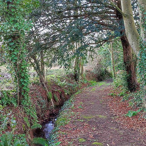 Chemin creux