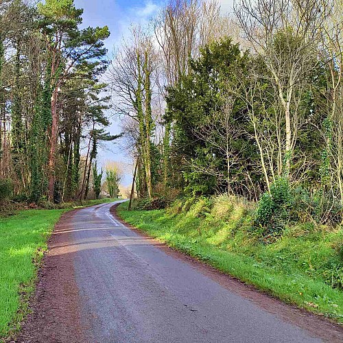 Route de campagne