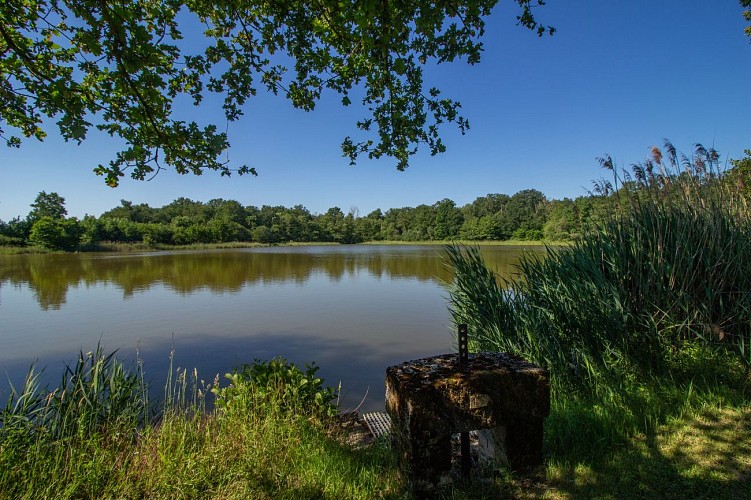 Rundweg zum Teich von Léchères in St Paul de Varax