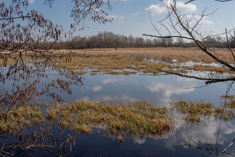 Rundweg zum Teich von Léchères in St Paul de Varax