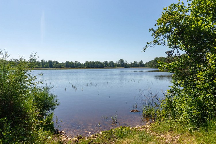 Rundweg zum Teich von Léchères in St Paul de Varax