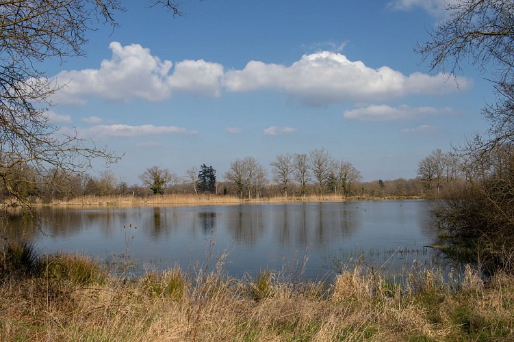 Rundweg zum Teich von Léchères in St Paul de Varax