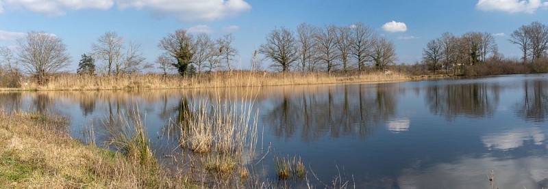 Rundweg zum Teich von Léchères in St Paul de Varax